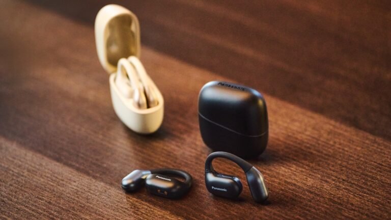 The Panasonic RB-F10 headphones in the case