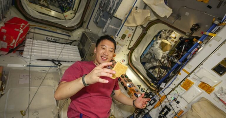 Here’s how one astronaut made a burger that’s out of this world