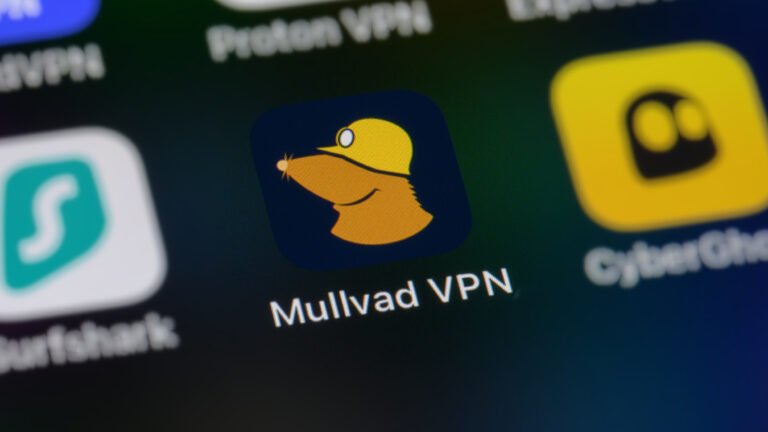 Mullvad VPN app logo on screen