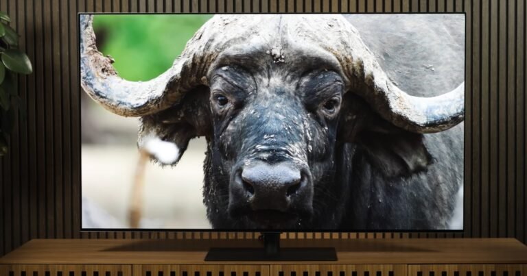 LG’s best OLED TV of 2024 is on sale for $1,000 off today